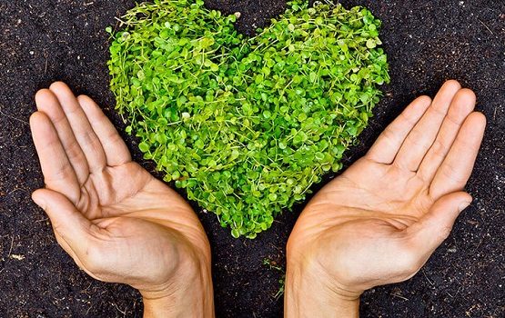 Lending A Hand To The Environment